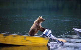 -Миха, дружище!!!, я там еще водяру и балалайку оставил, зацепи и поплыли...