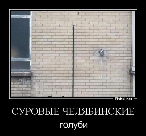 Удачный кадр