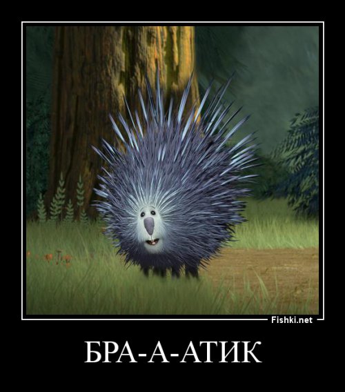 Едешь себе такой и тут