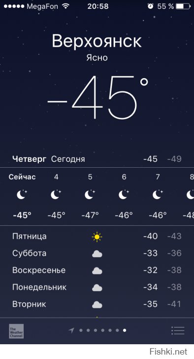 Прикольные картинки