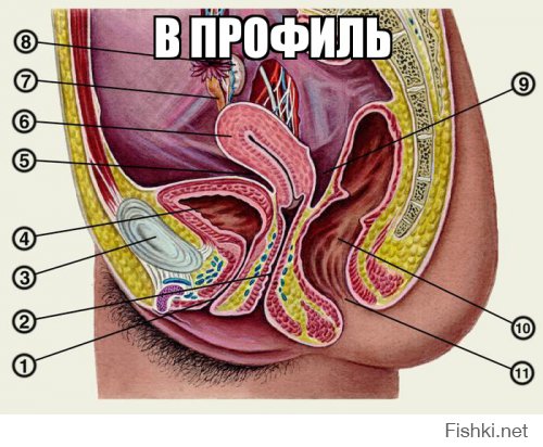 Политические комментарии и картинки из соц. сетей 18