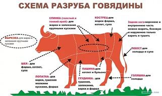 Опасный побег в Вологде