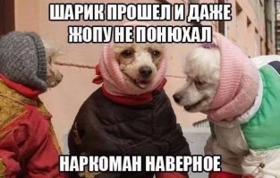Смешные комментарии и высказывания из социальных сетей
