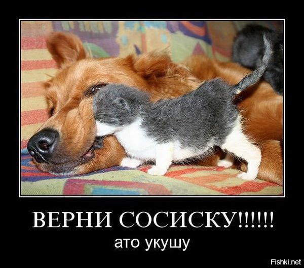 Прикольные картинки