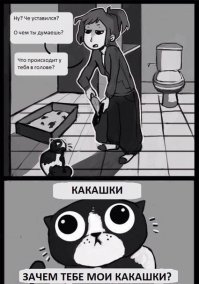 О чем думают коты? Знают только они...