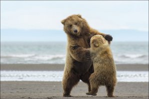 "пренебречь, вальсируем"