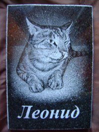 Аффтор, что за мультик? На это по серьёзному нужно смотреть.