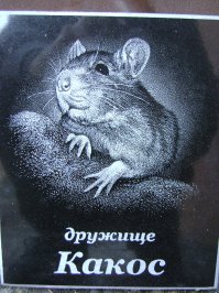 Аффтор, что за мультик? На это по серьёзному нужно смотреть.