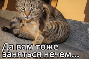 Тест покрышек из Японии