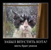 Мокрые киски