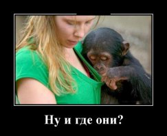 У кого на что хватило