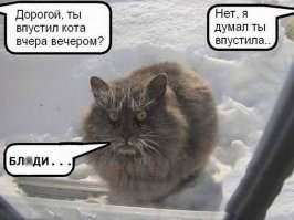 Мокрые киски