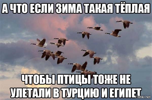 56f9319a0f48728a5f9f89a95db8d224.jpg