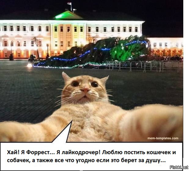 Смешные комментарии и высказывания из социальных сетей
