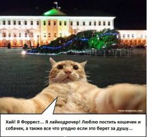 Смешные комментарии и высказывания из социальных сетей
