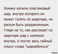 Смешные комментарии и высказывания из социальных сетей