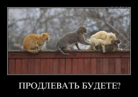 Демотиваторы