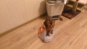 у меня тоже та ещё мастерица