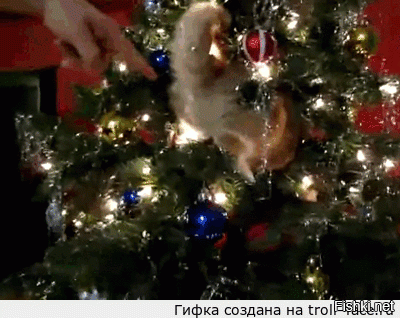 Непревзойденные мастера скрытности!