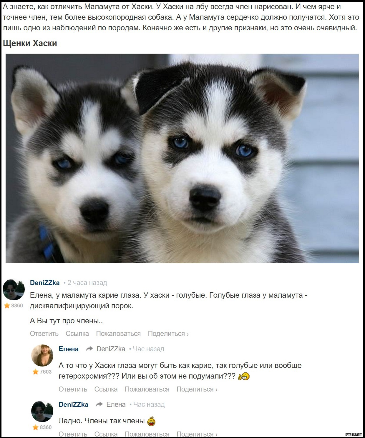 По загару кто чем занимался По загару кто чем занимался