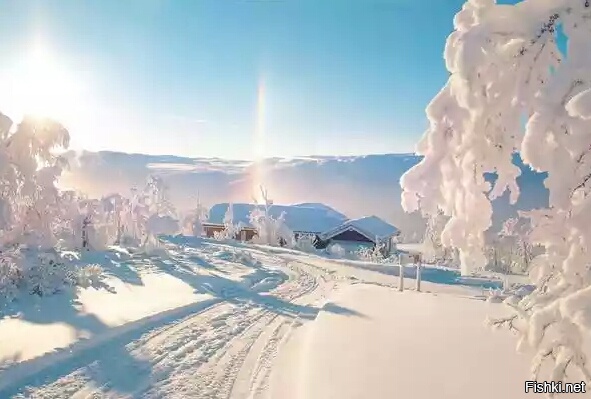 Просто картинки