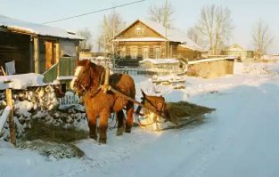 Просто картинки
