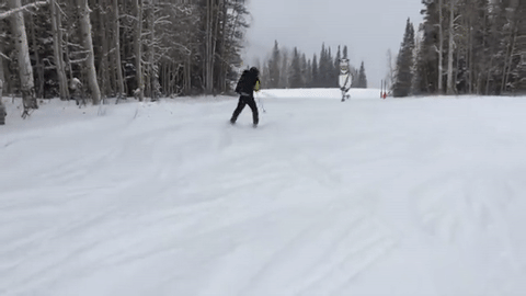 a0250a77023d0d7aa33bc41b529954ba.gif