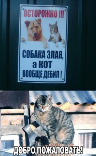 Ржу немагу
