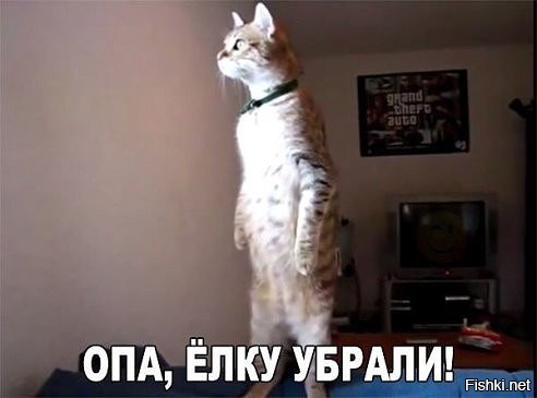 Смешные картинки для отличного настроения!