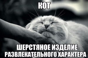 Смешные картинки для отличного настроения!