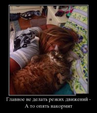 30 веселых фотографий с животными