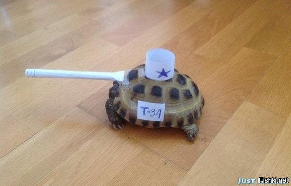 Мой хозяин идиот