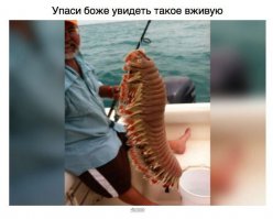 Кто из них больше напуган?