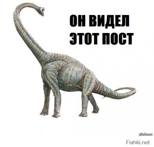 Улыбнитесь