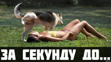 Фотографии снятые в нужный момент