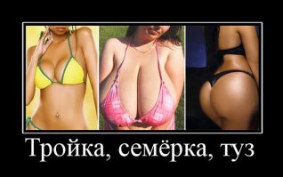 Демотиваторы