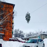 Веселенький цвет дома