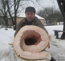 Не знаю, чего в этом "прикольного", но я бы от такого не отказался.