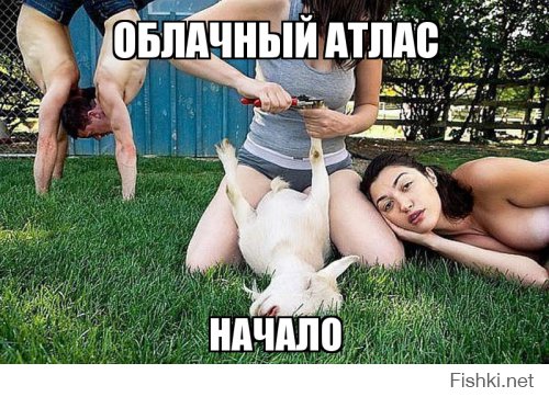 Вестник социальных сетей