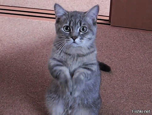 Здорово!