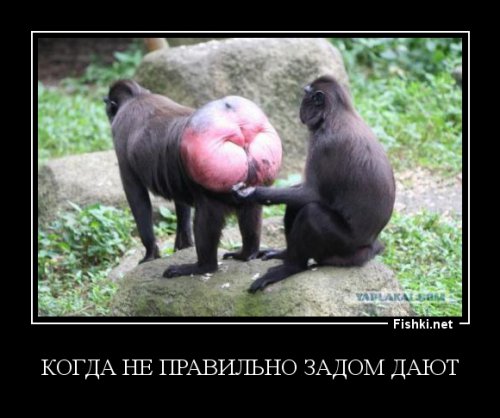Девушка выезжает с парковки