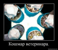 Снимки ветеринаров и их посетителей