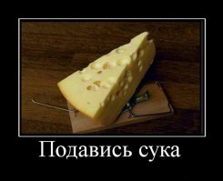 Трапеза в мире животных
