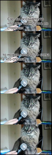 Приколы с братьями меньшими
