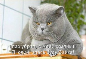 В любых, непонятных, случаях всегда, вставляй запятые,,,