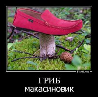 Подборка авто баянов!