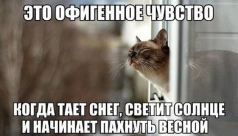 Ога... вот растает снег, и весна покажет, кто где... пахнуть весной?