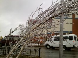 Тоже откопал старые фото