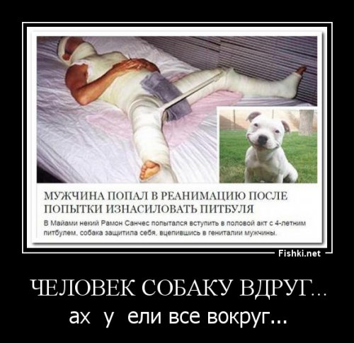 Смешные комментарии из соцсетей