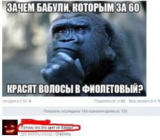..сидит и размышляет синяя горилла...